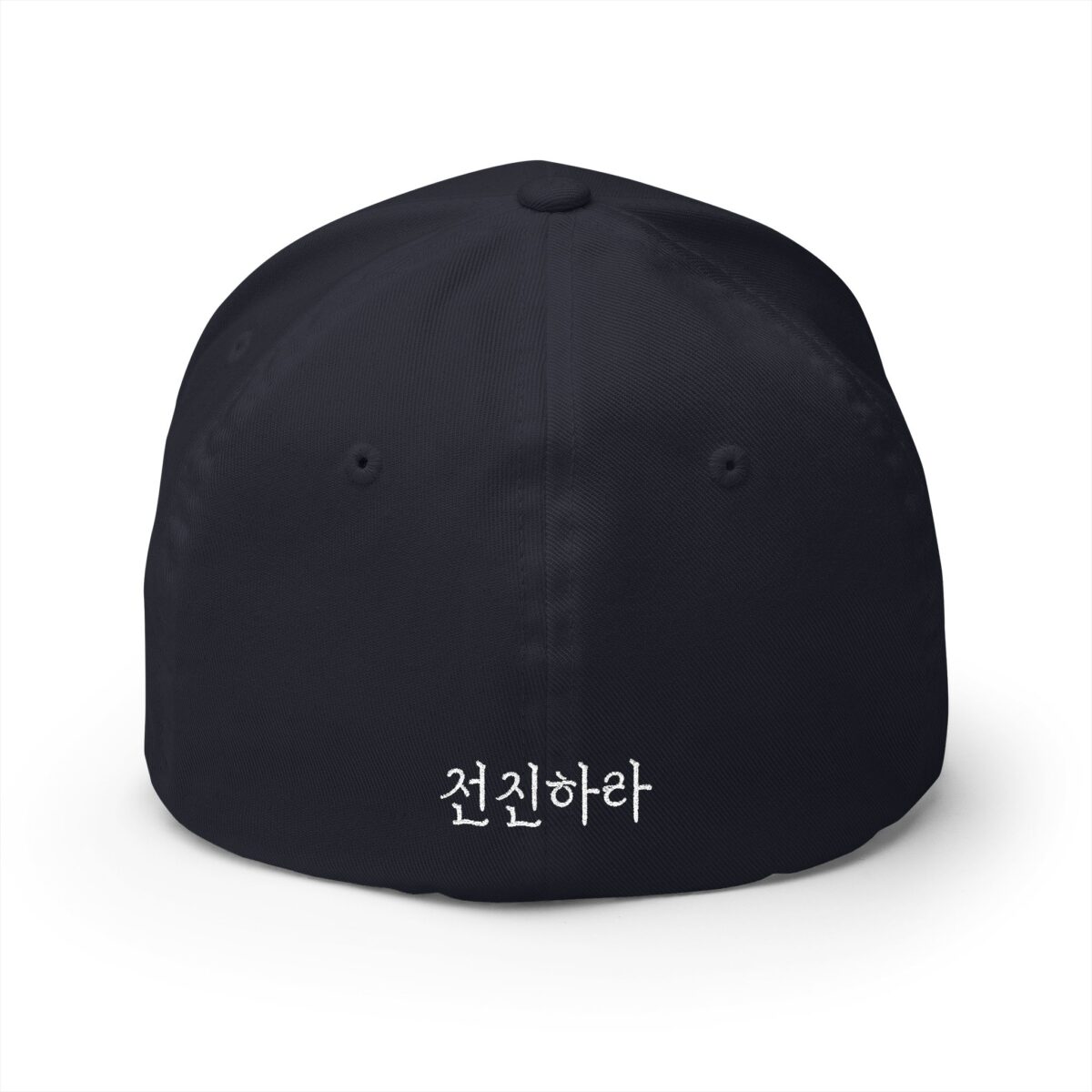 GO FORWARD Embroidered Korean Phrase Cap - Stylish Closed-Back Structured Hat for Everyday Wear - Image 18