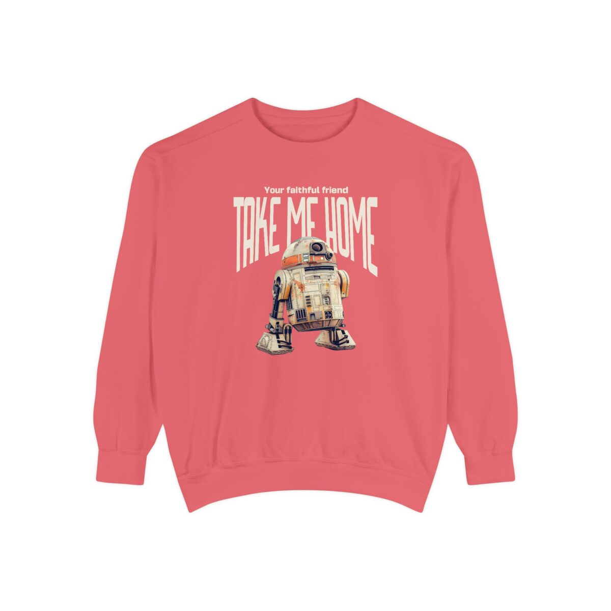 Take me home Unisex Garment-Dyed Sweatshirt - Image 29