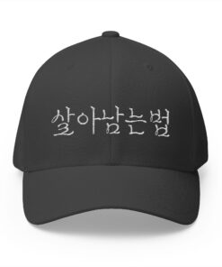 GO FORWARD Embroidered Korean Phrase Cap - Stylish Closed-Back Structured Hat for Everyday Wear