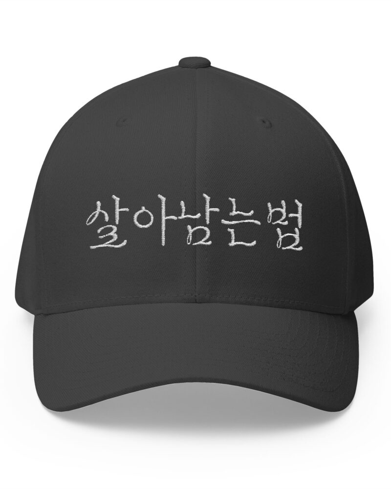 GO FORWARD Embroidered Korean Phrase Cap - Stylish Closed-Back Structured Hat for Everyday Wear