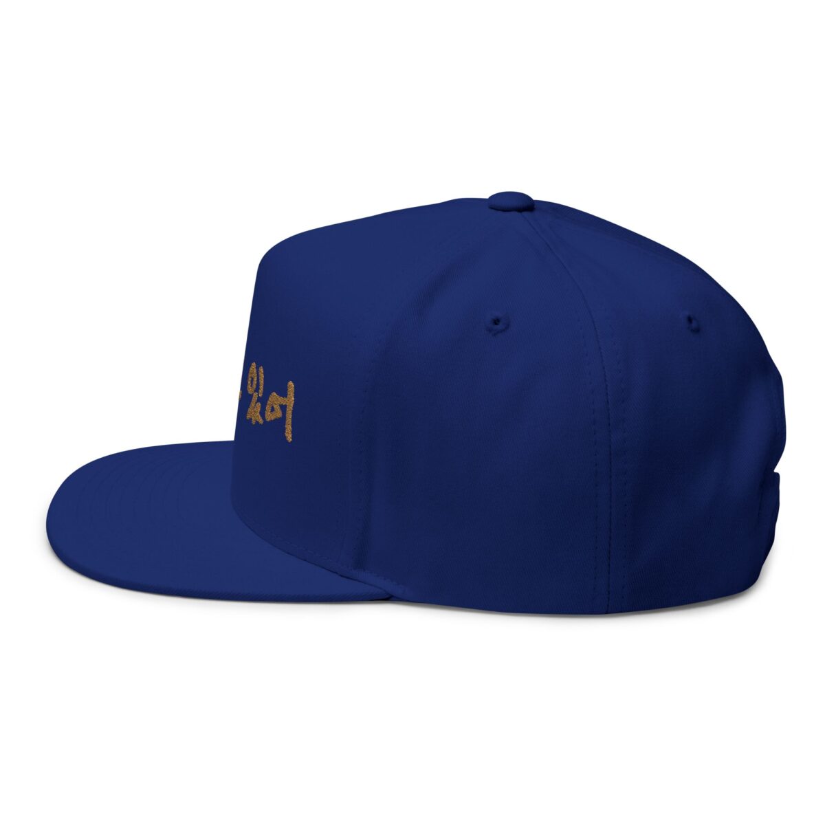 You're being silly Embroidery Flat Bill Cap - Stylish Korean Quote Design - Image 3