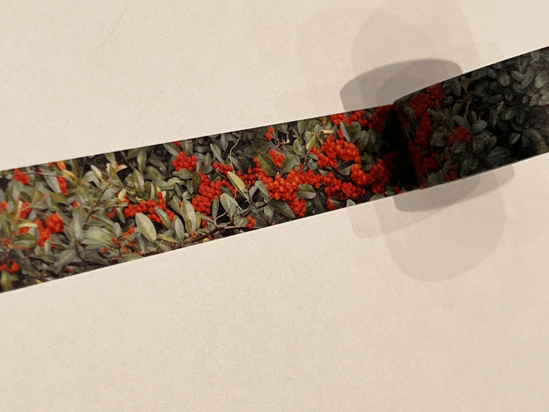 ZAGNE Pyracantha Masking Tape - Washi Tape - View 1