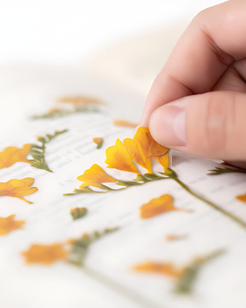 Appree Pressed Flower Sticker Freesia - Office Supplies