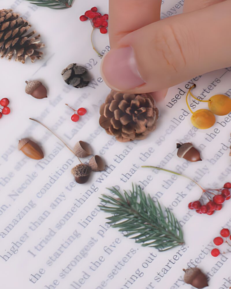 Appree Nature Sticker Pine Tree Road - Office Supplies