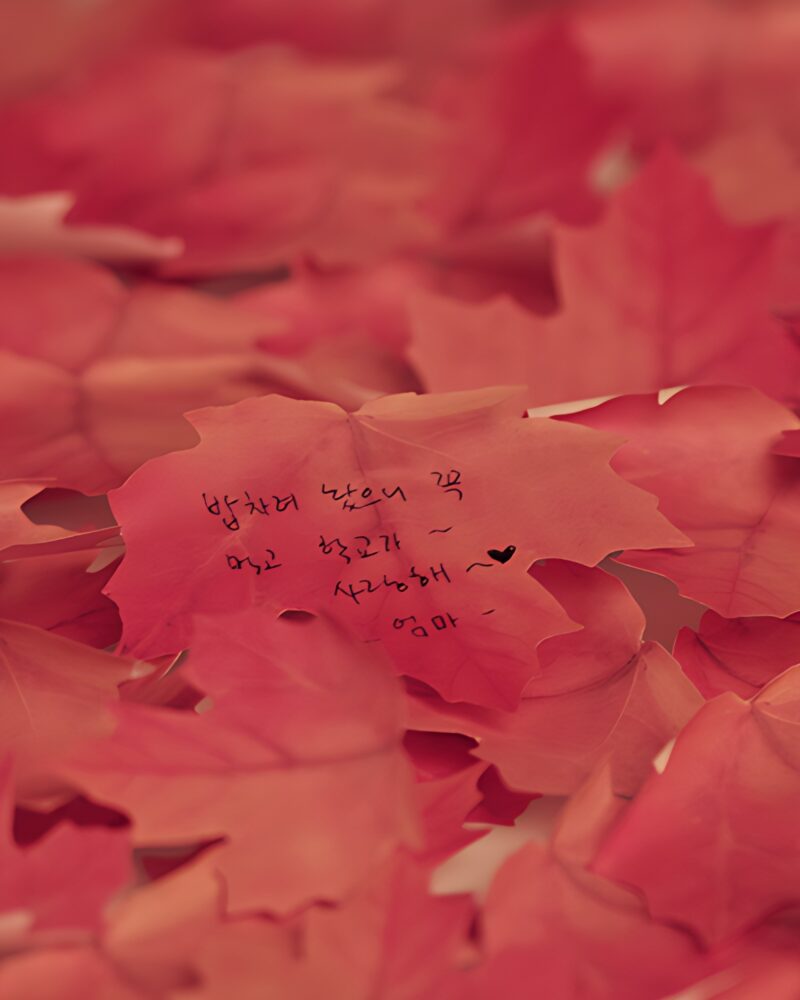 Appree Sticky Leaf Maple Sticky Notes - Red M/L - Memo Pads & Sticky Notes