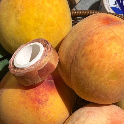 ZAGNE Soft Peach Peel Masking Tape - Washi Tape