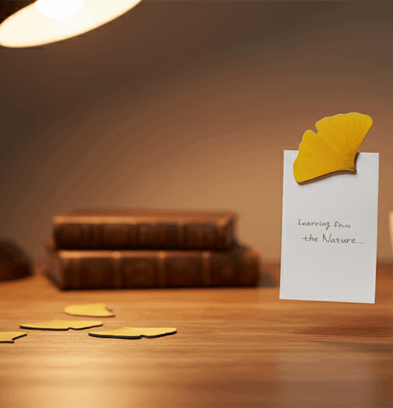 Appree Leaf Magnet Ginkgo Leaf 3pieces Set - Home & Living