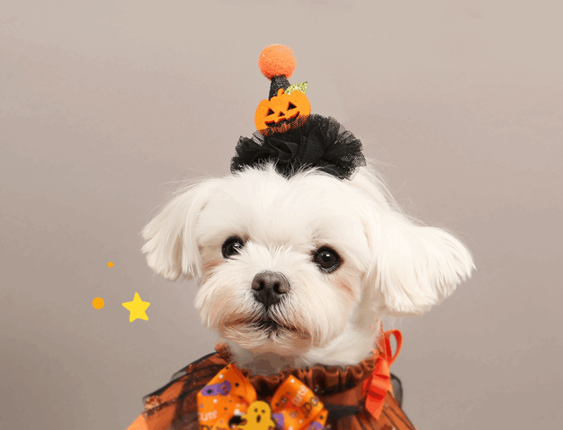 ITSDOG Halloween Bat Pumpkin Pin