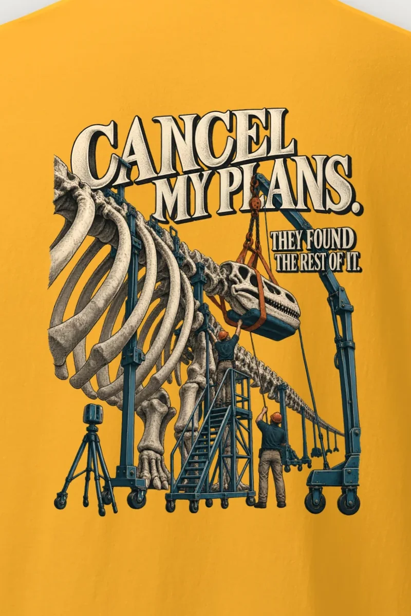"Cancel My Plans" Heavyweight Unisex Crewneck T-shirt - the graphic up close